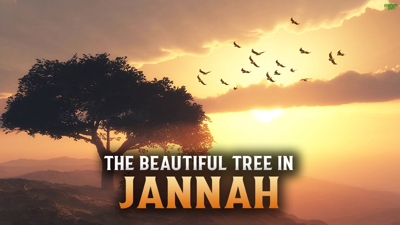 THE BEAUTIFUL TREE IN JANNAH YOU NEED TO KNOW ABOUT