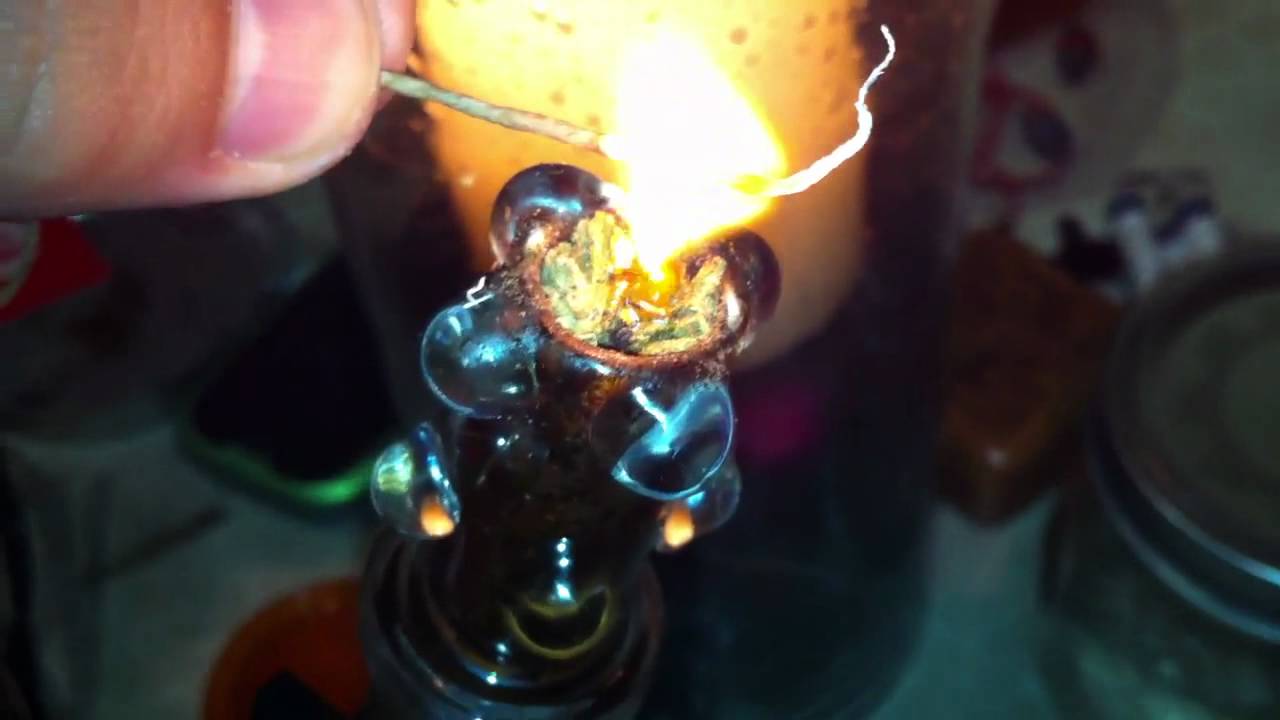 BHO Melt Shot