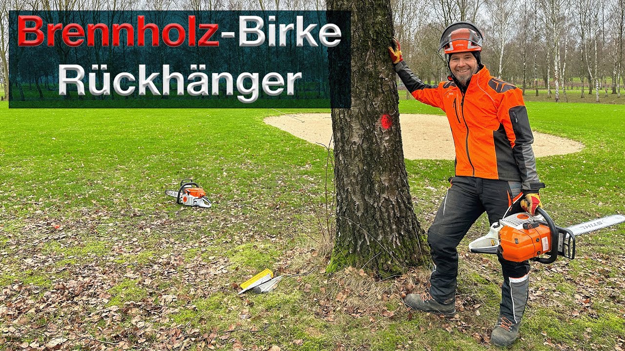 Brennholz Birke - STIHL MS 441 - Kette wechseln und leichten Rückhänger fällen #firewood #chainsaw