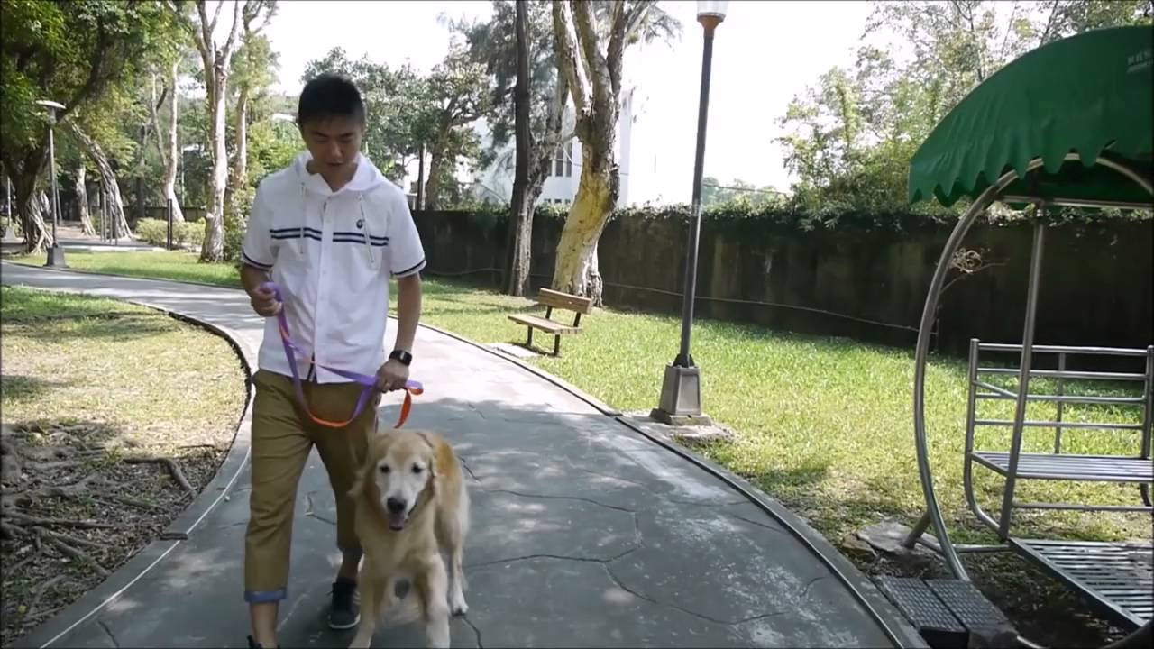 PPB防爆衝胸背帶：熊爸散步示範篇