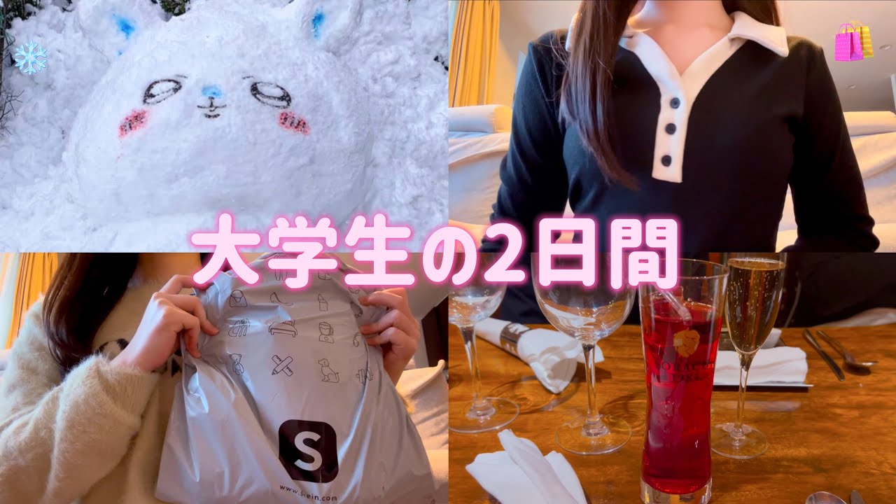 【vlog】大学生の2日間 | SHEIN購入品🛍️銀座ディナー🥂好きなことをして過ごす🪄︎︎❄️
