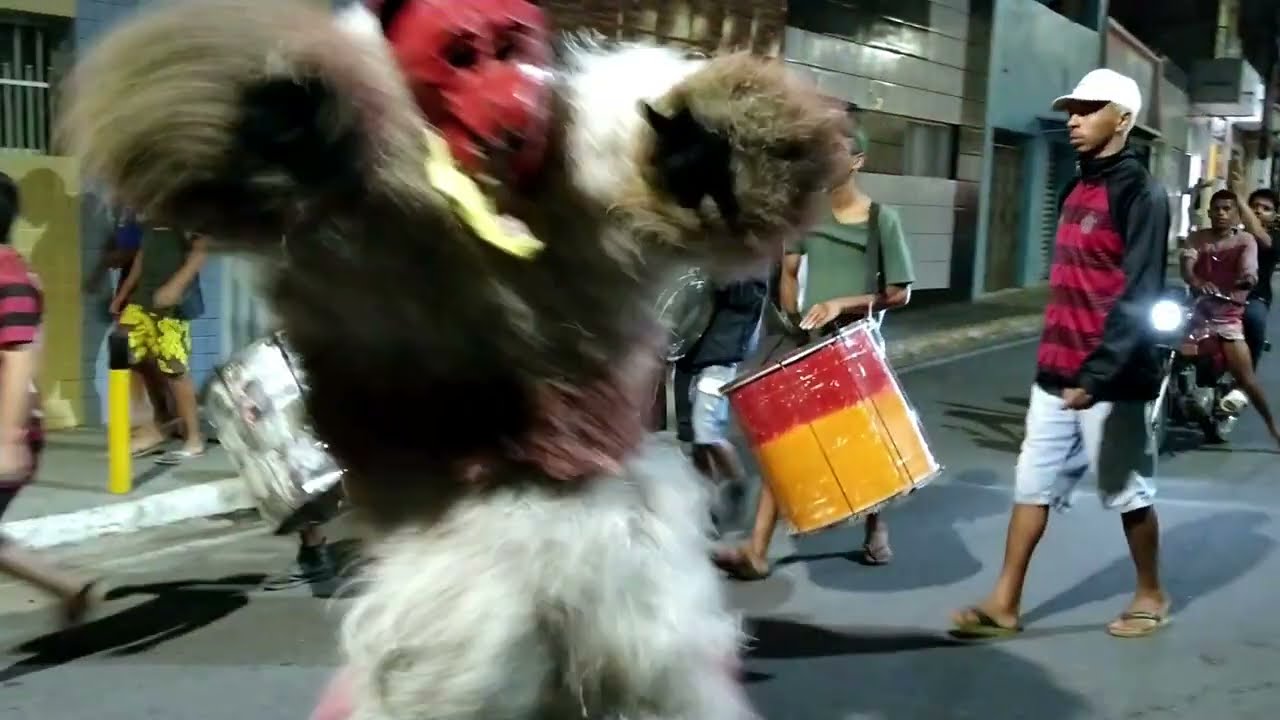 Ala-ursa 2023.12 | No rastro das Ala-ursas | RQS*