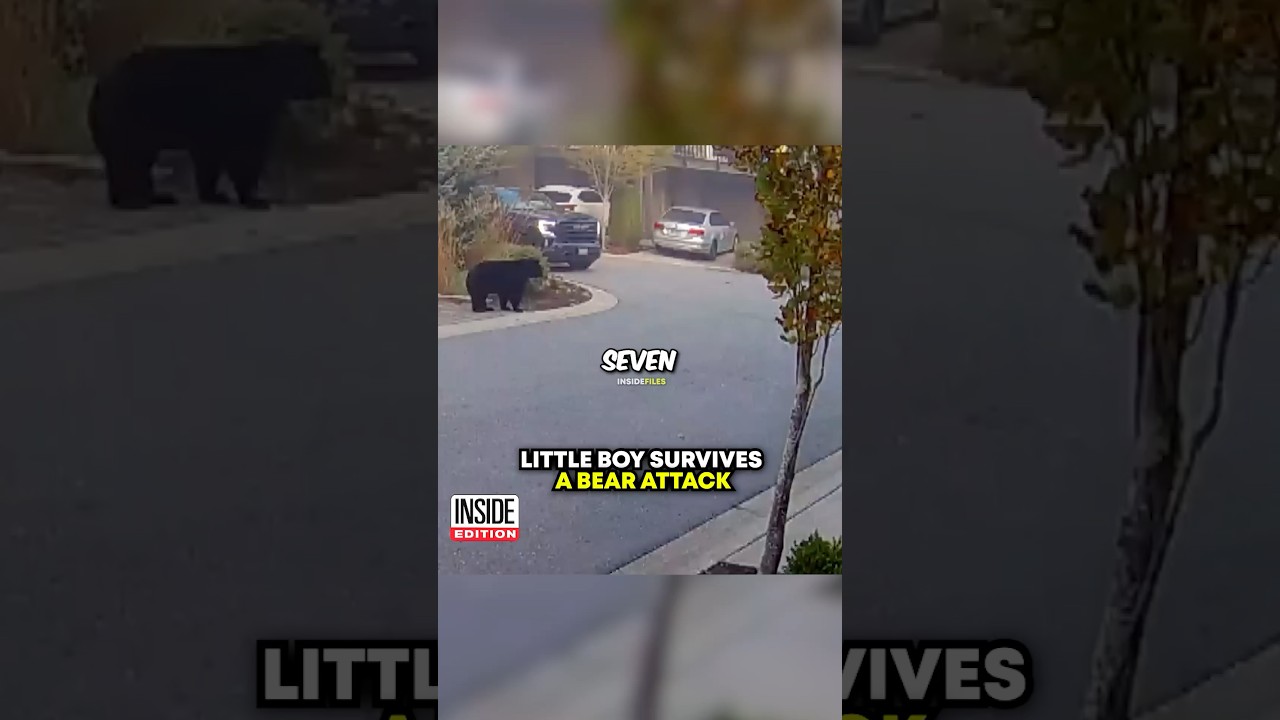 Little Boy SURVIVES A Bear Attack 🤯