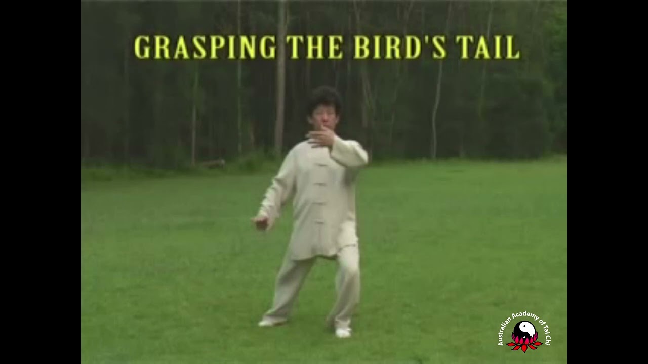 Tai Chi Level 1 DVD Preview by Grandmaster Gary Khor