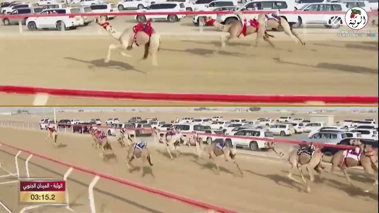 الشوط 1 مجسم (الريف) لـ سالم سعد حمد الجنيبي 4:24:5 , مهرجان البيت متوحد 2022/9/29 حقايق