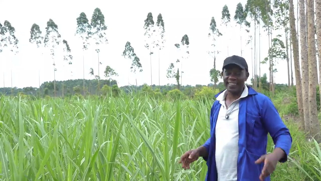 The benefits of giving back in agriculture