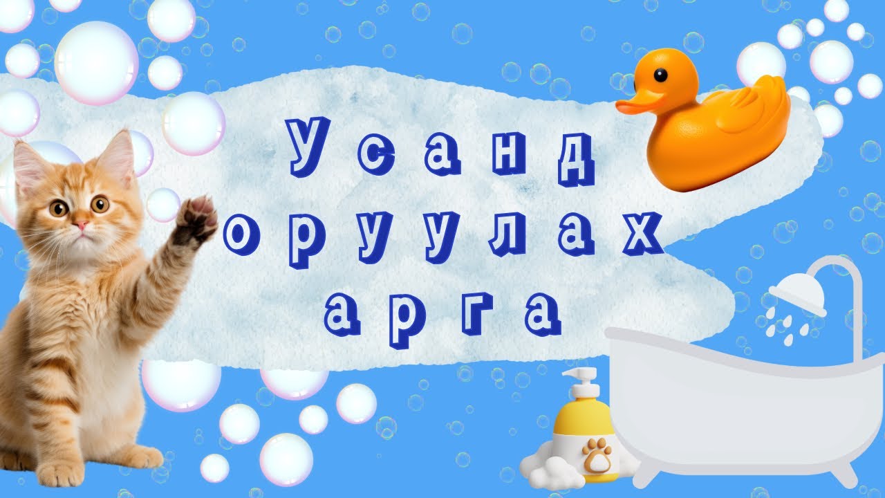 Муур усанд оруулах арга🛁🫧🧼