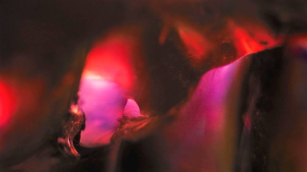 Color Light Abstractions - Wynn Bullock: Revelations