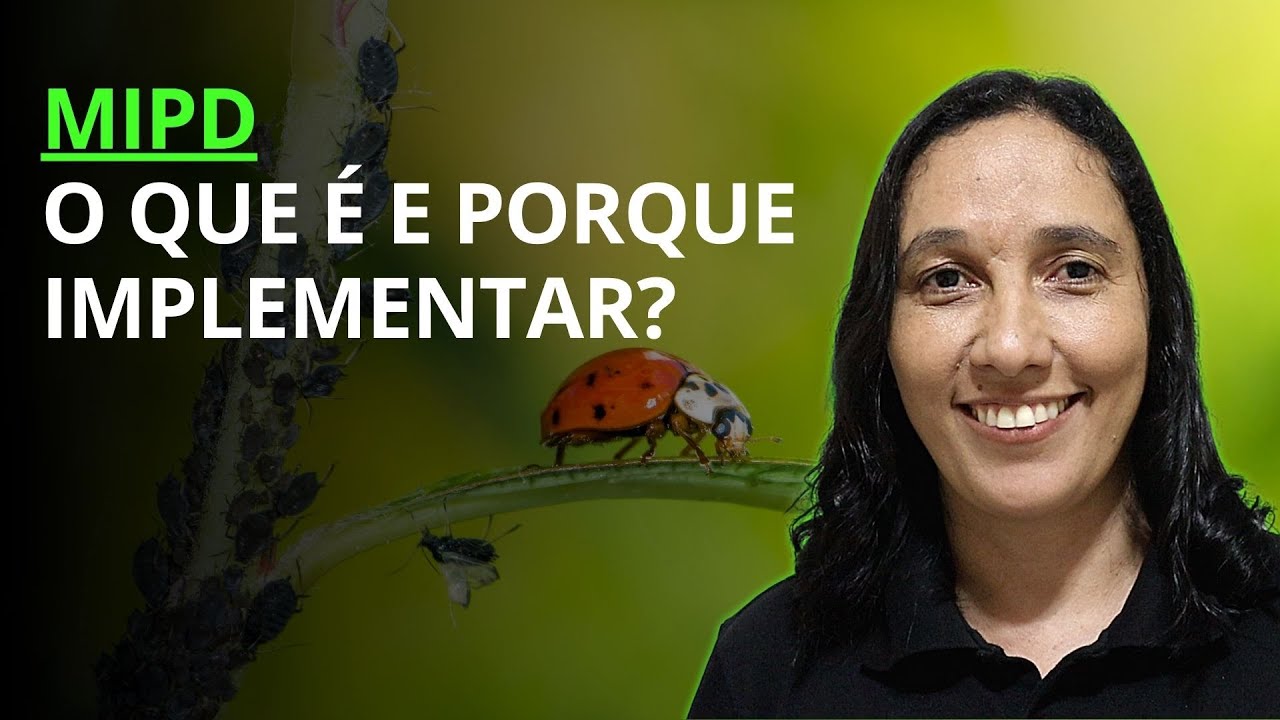 MIPD o que &eacute; e porque implementar?[N35.06]