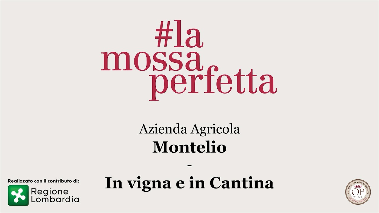 In Cantina e in Vigna produttore Montelio