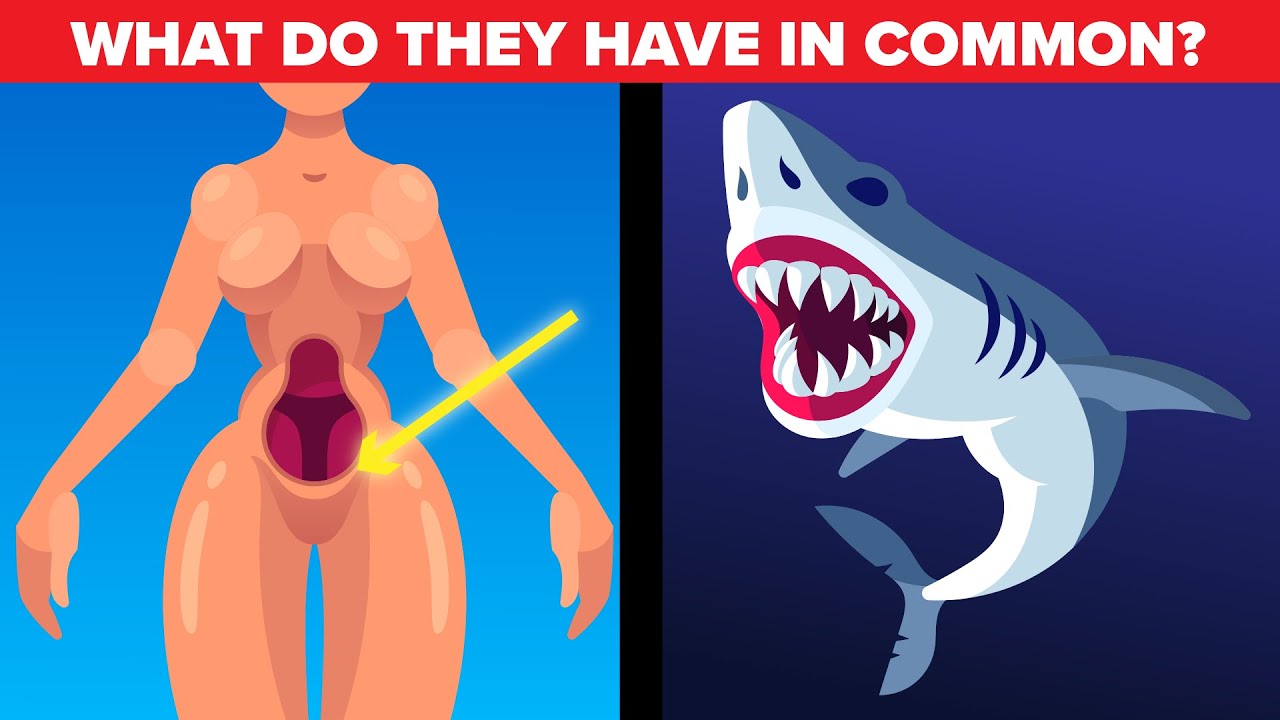 Weird Facts About Female Body