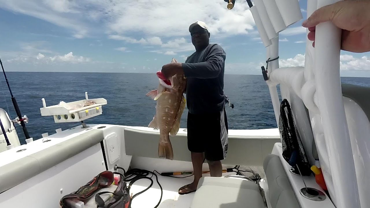 Yellowedge Grouper Day (150 Miles off Naples FL)