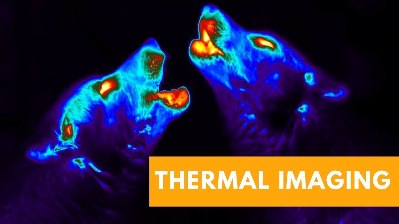 FLIR One Pro Thermal Camera [Review + Unboxing]