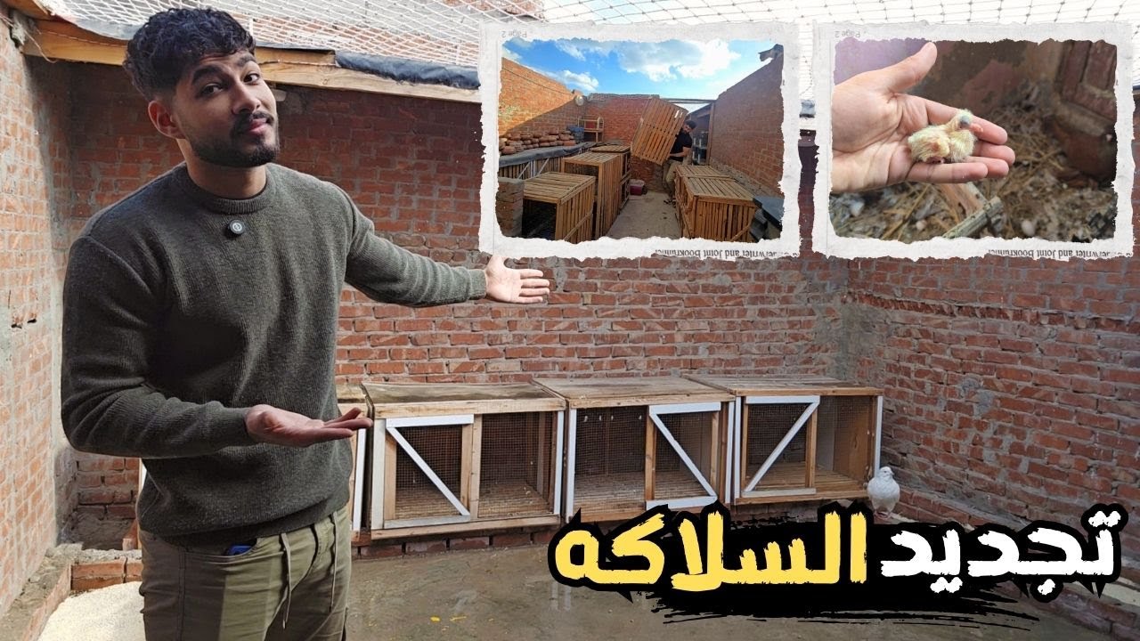 تجديد سلاكة الحمام الكبيرة 🧐 ومتابعه حمام السلاكة الجديدة 😲