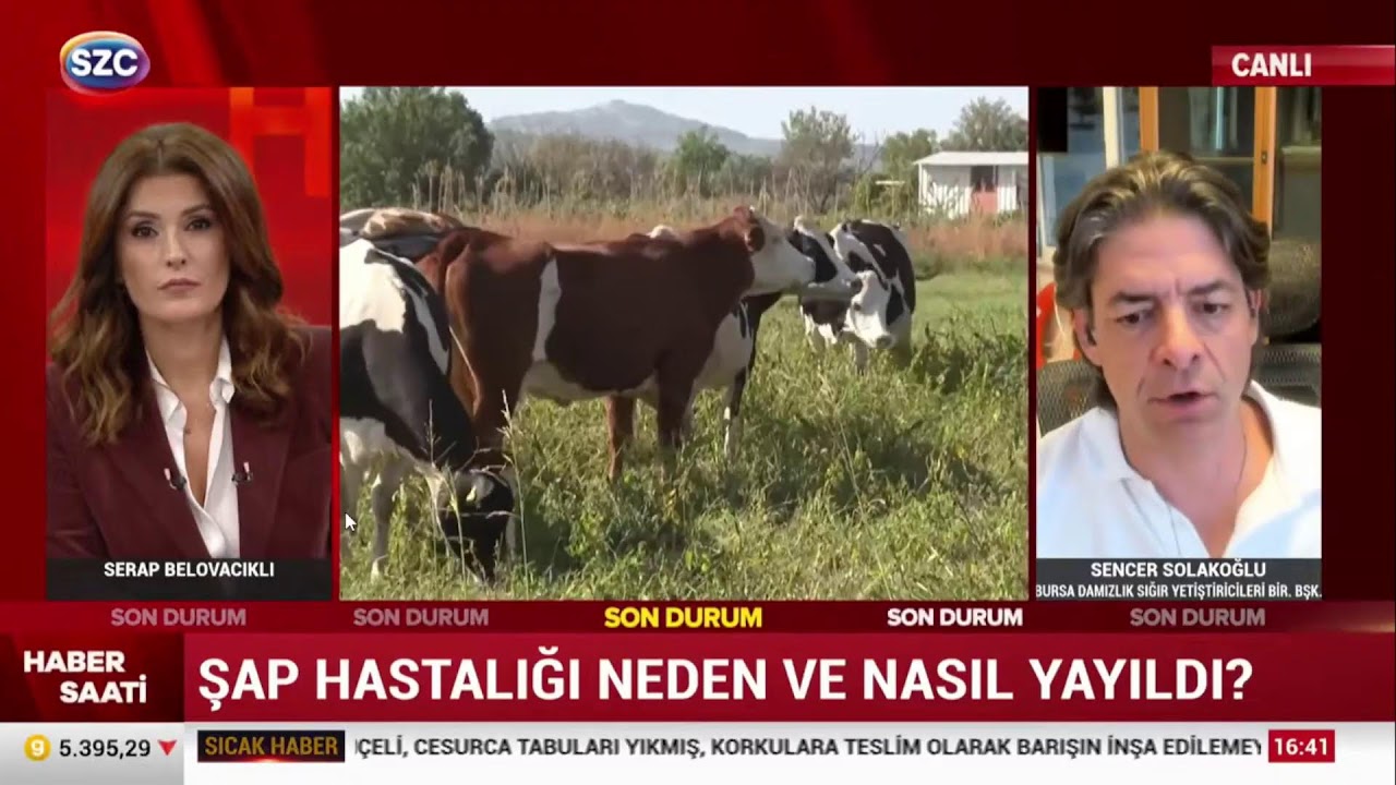 Sencer Solakoglu Canlı Yayını