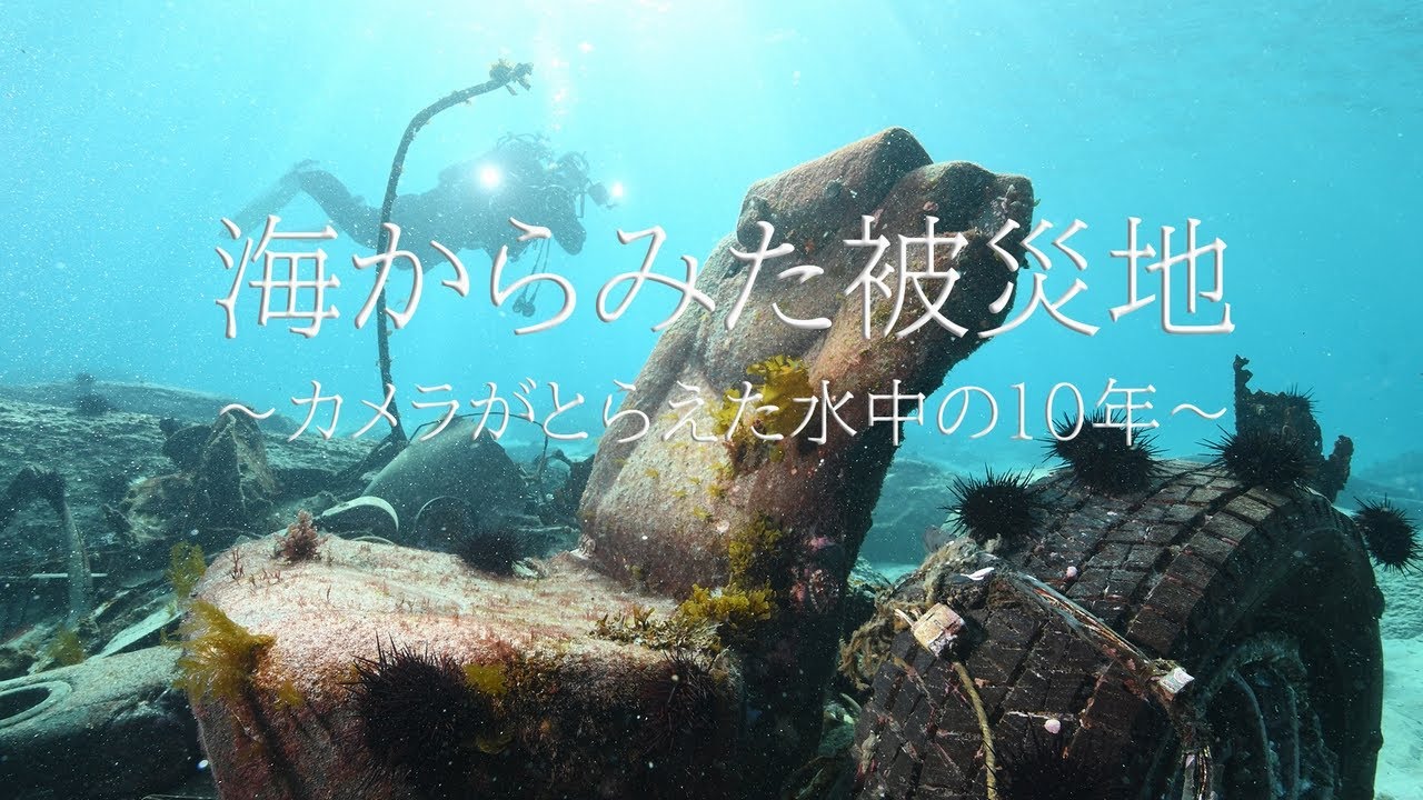 海からみた被災地～カメラがとらえた水中の１０年～