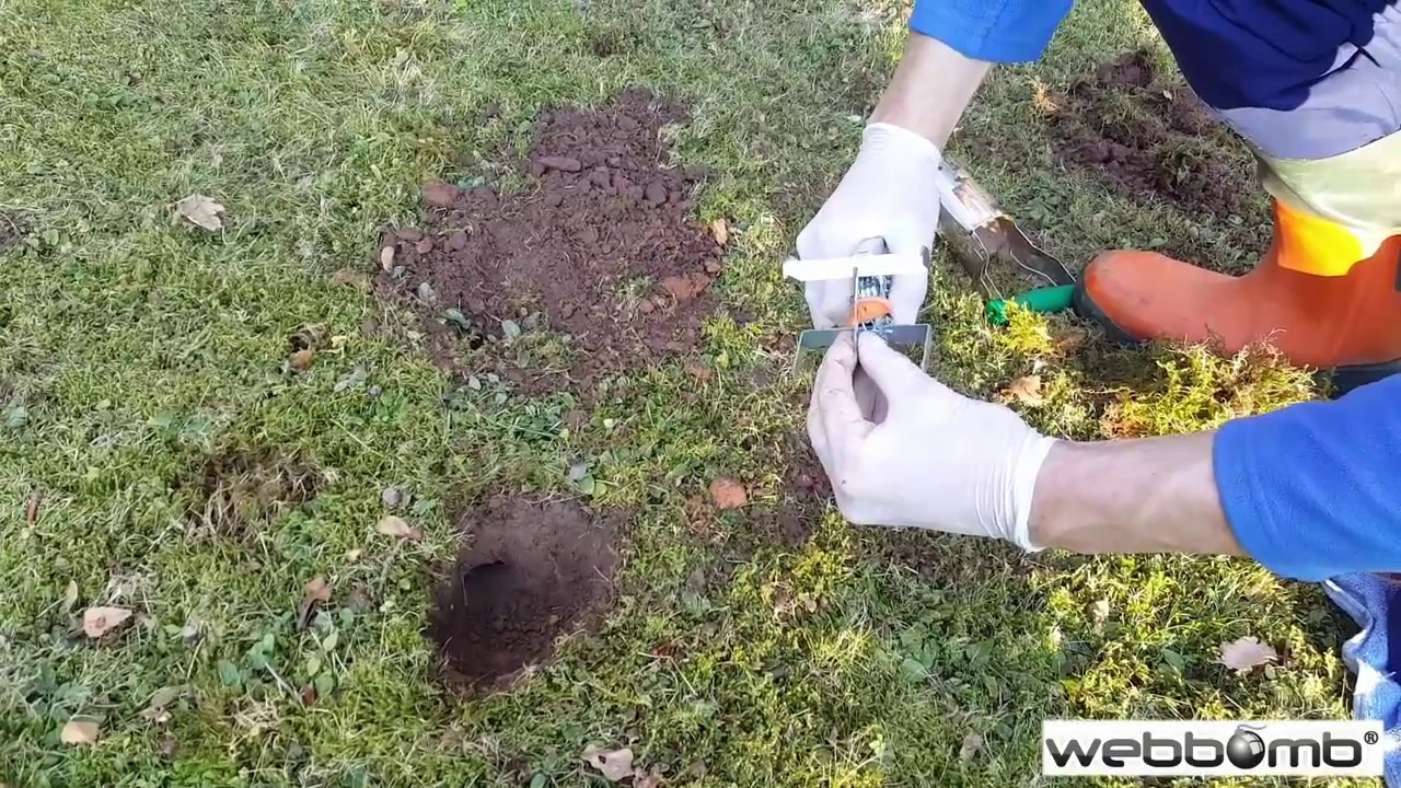 Wühlmäuse bekämpfen - Hilfe gegen Wühlmäuse - WEBBOMB Zangen Falle - effektiv gegen Wühlmäuse