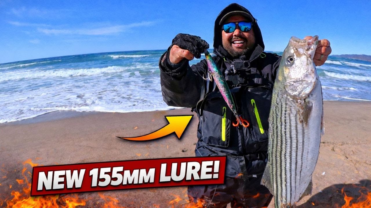 Unbelievable Surf Striper and Perch Fishing on new lures