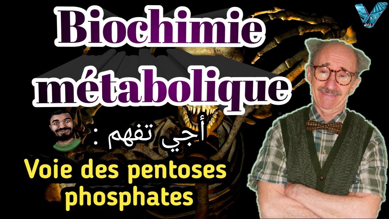Biochimie m&eacute;tabolique en arabe, partie des {glucides}, Voie des pentoses phosphates SVI S4.
