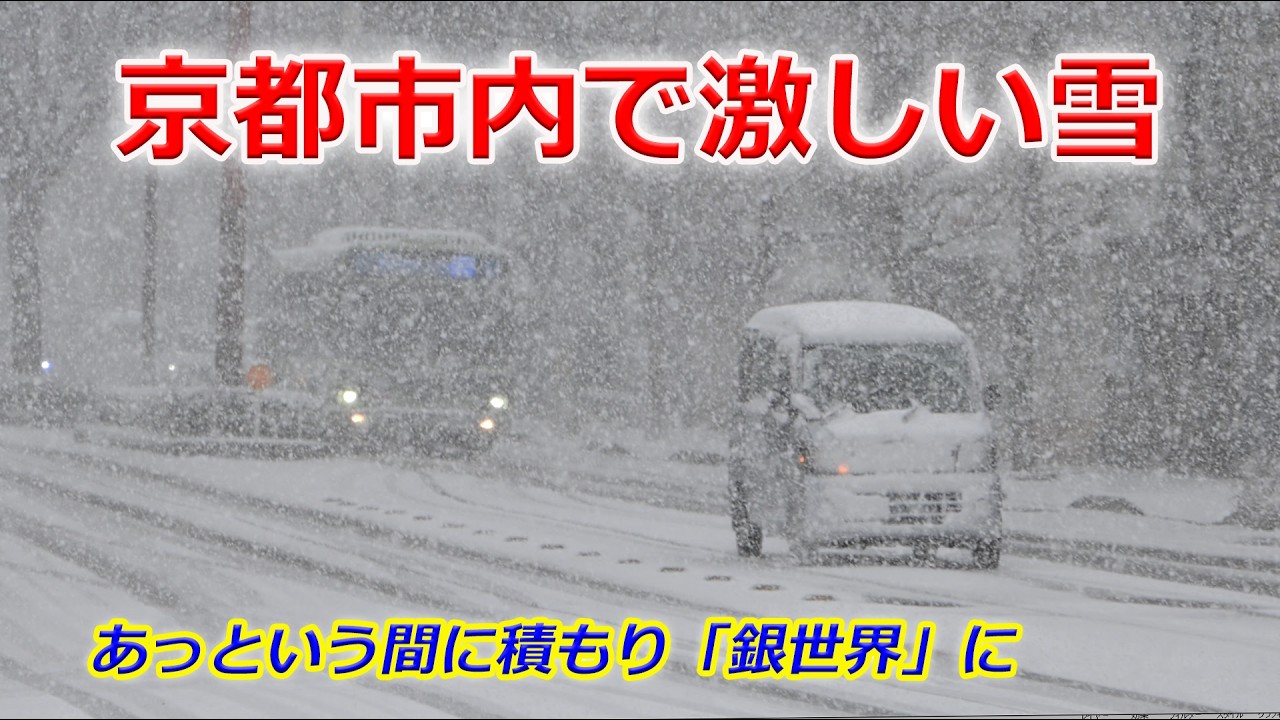 【速報】京都市内で激しい雪（2026年2月8日　京都市左京区・北区）Heavy snowfall in Kyoto city