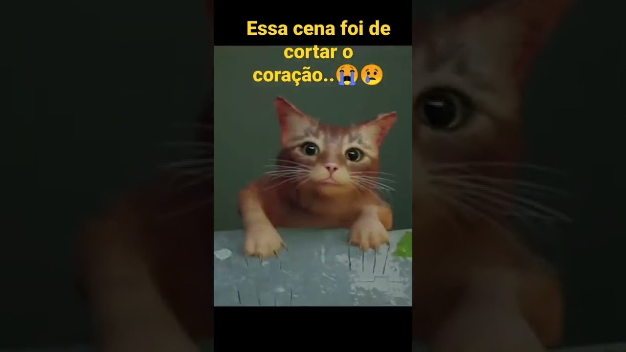 #stray a cena mais triste do jogo...