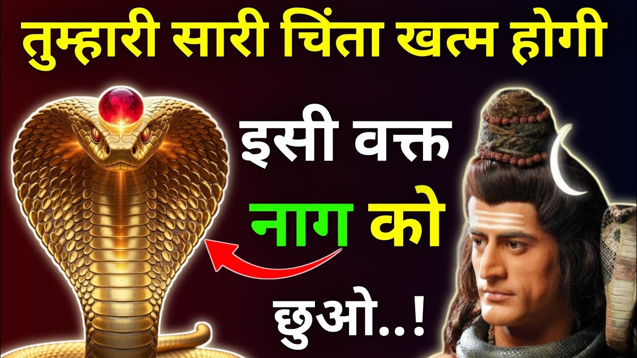तुम्हारी सारी चिंता खत्म होगी इसी वक्त नाग को छुओ |Mhadev Updesh |Mhadev Vichar |Mhadev Vani 