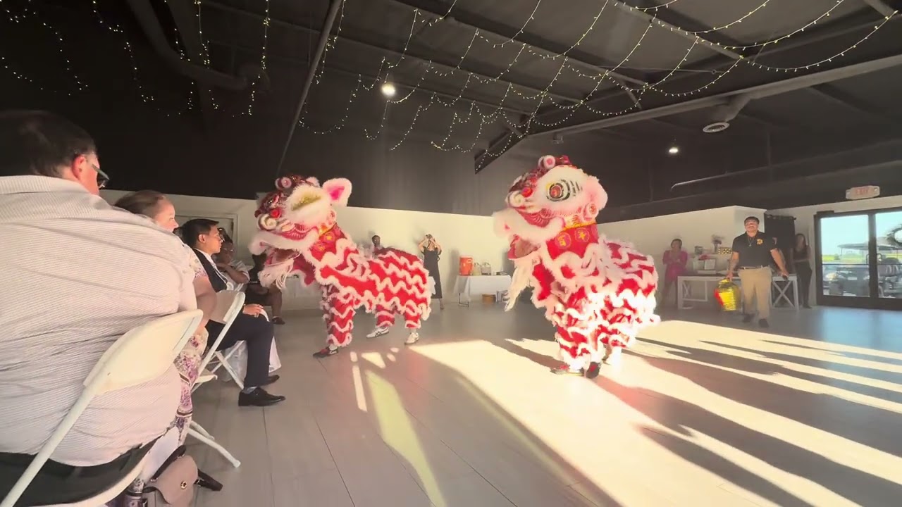 Lion Dance - Wedding