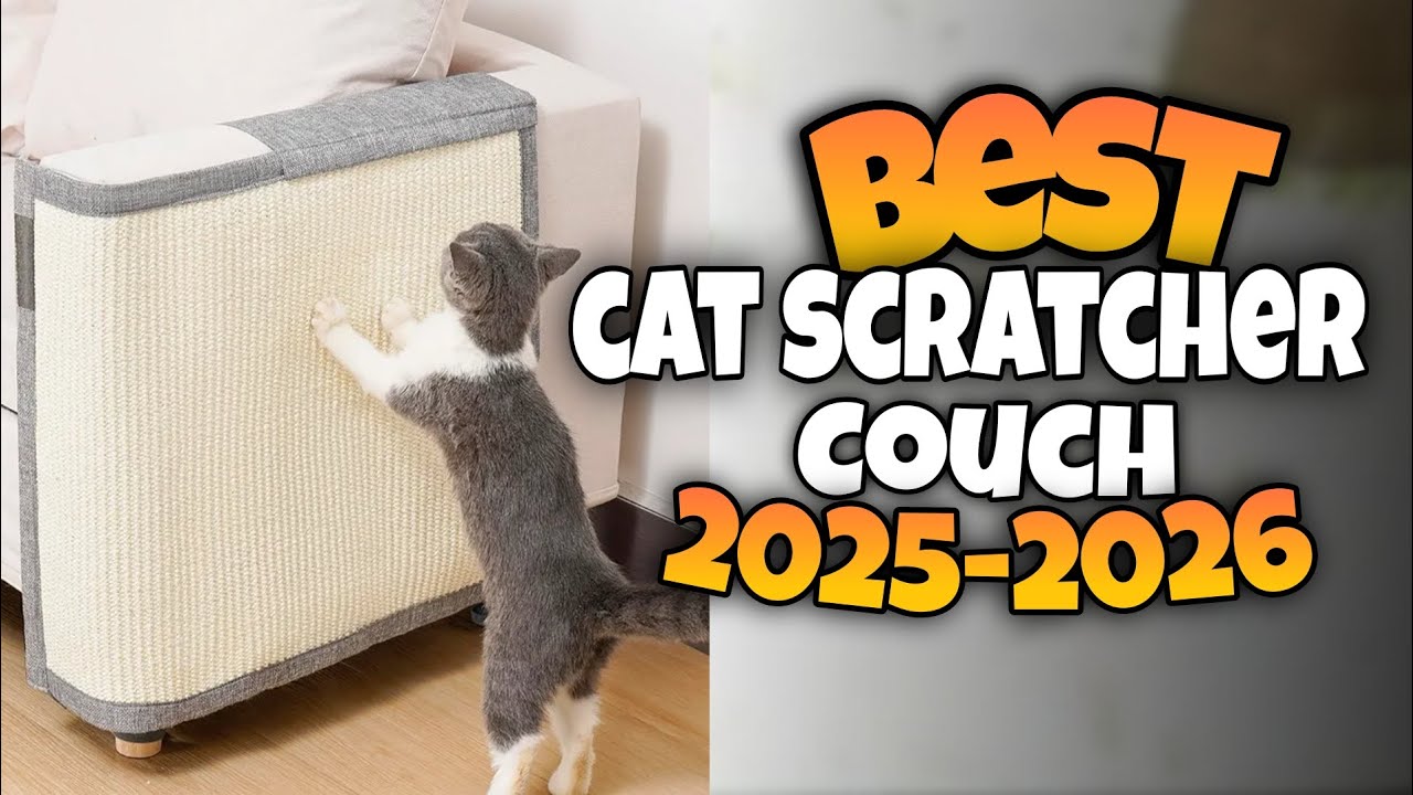 TOP 3:✅BEST CAT SCRATCHER for COUCH 2025-2026 #catscratcher #scratchers #catscratch