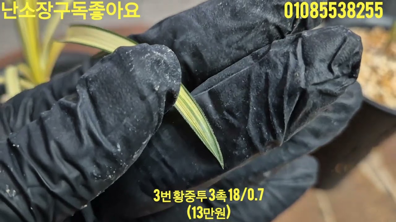 2026년 2월 27일
