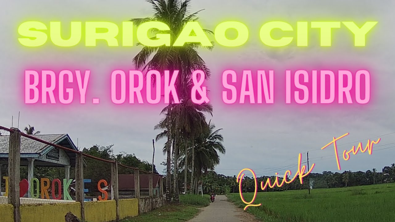 SURIGAO CITY BRGY. CAPALAYAN, BRGY. OROK & BRGY. SAN ISIDRO