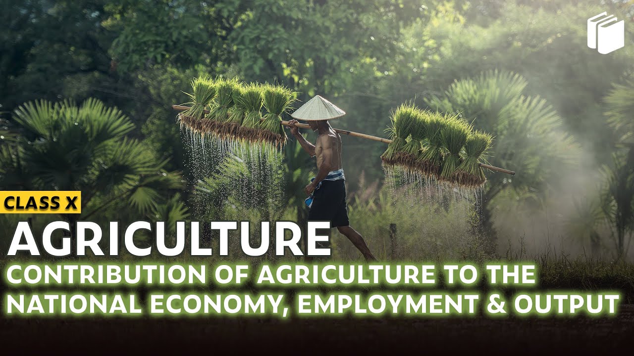 Contribution of Agriculture | Agriculture | Chapter 4 - Geography | Class 10 | PuStack