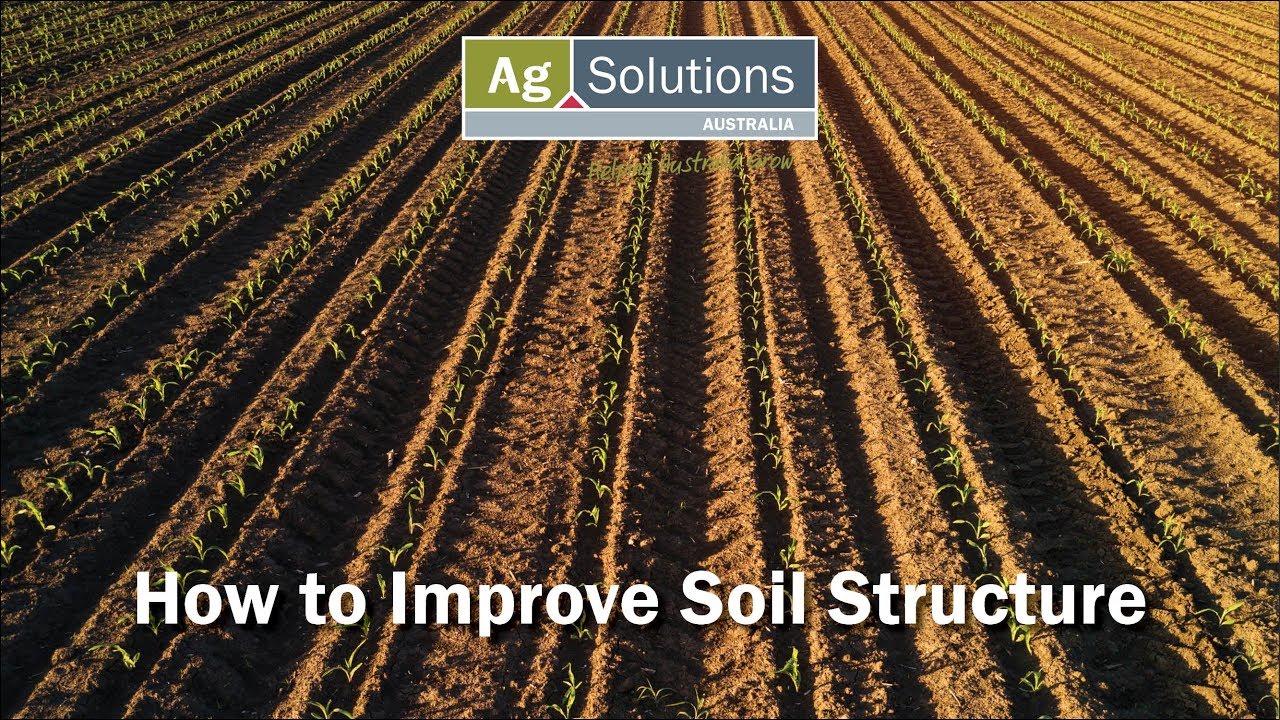 How to Improve Soil Structure