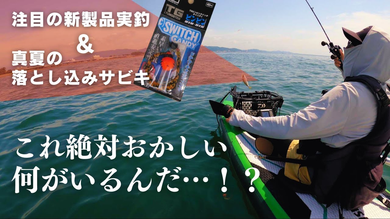 真夏を楽しむ落とし込みとビンビンスイッチキャンディの実力調査！SUPフィッシング