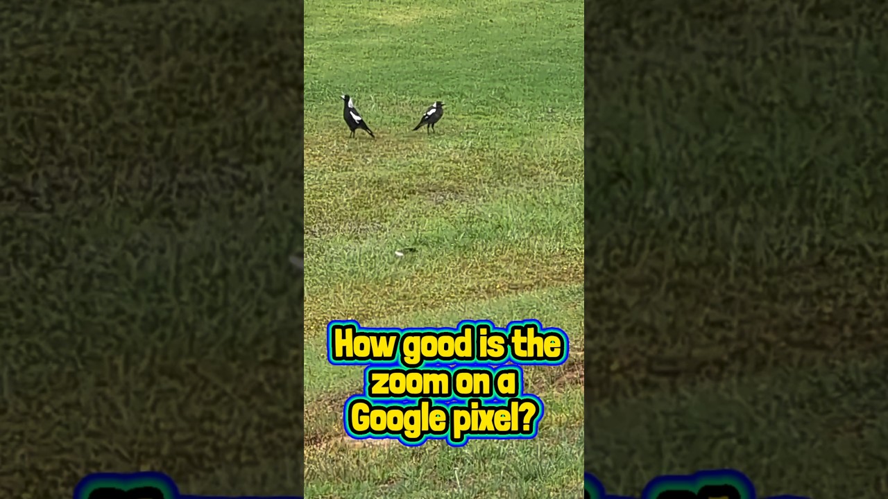 how INSANE is this ZOOM!? 🔎🔎🔎