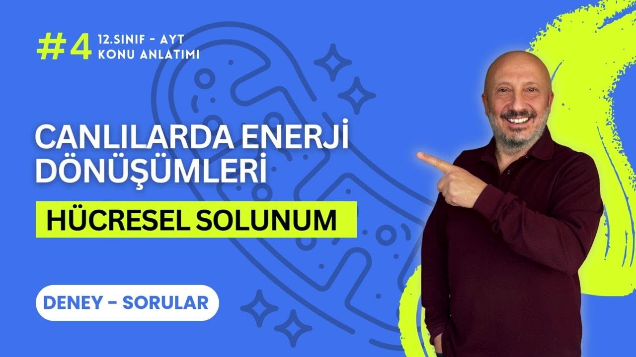 AYT Biyoloji | Deney & Sorular | 12. Sınıf Canlılarda Enerji Dönüşümleri