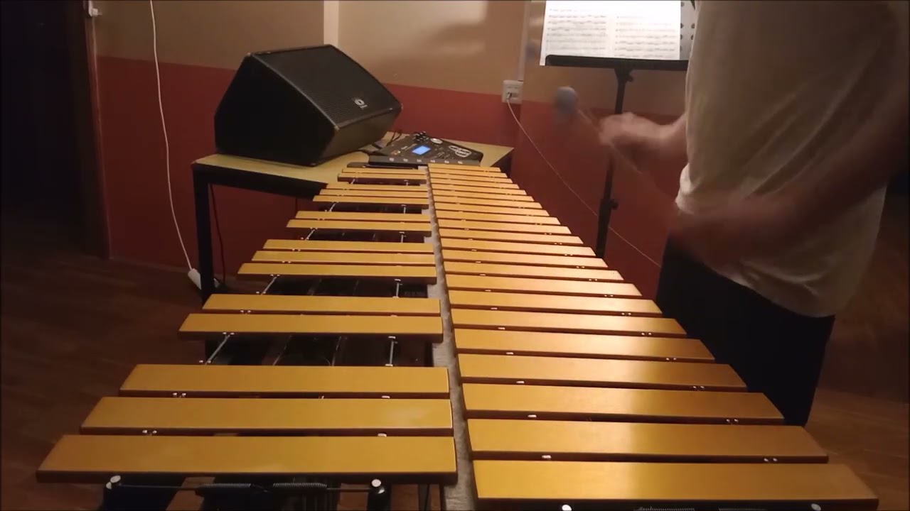 grega gorenšek - liszt's ''hungarian rhapsody n. 2'' on metallophone / training in 64-bar sections