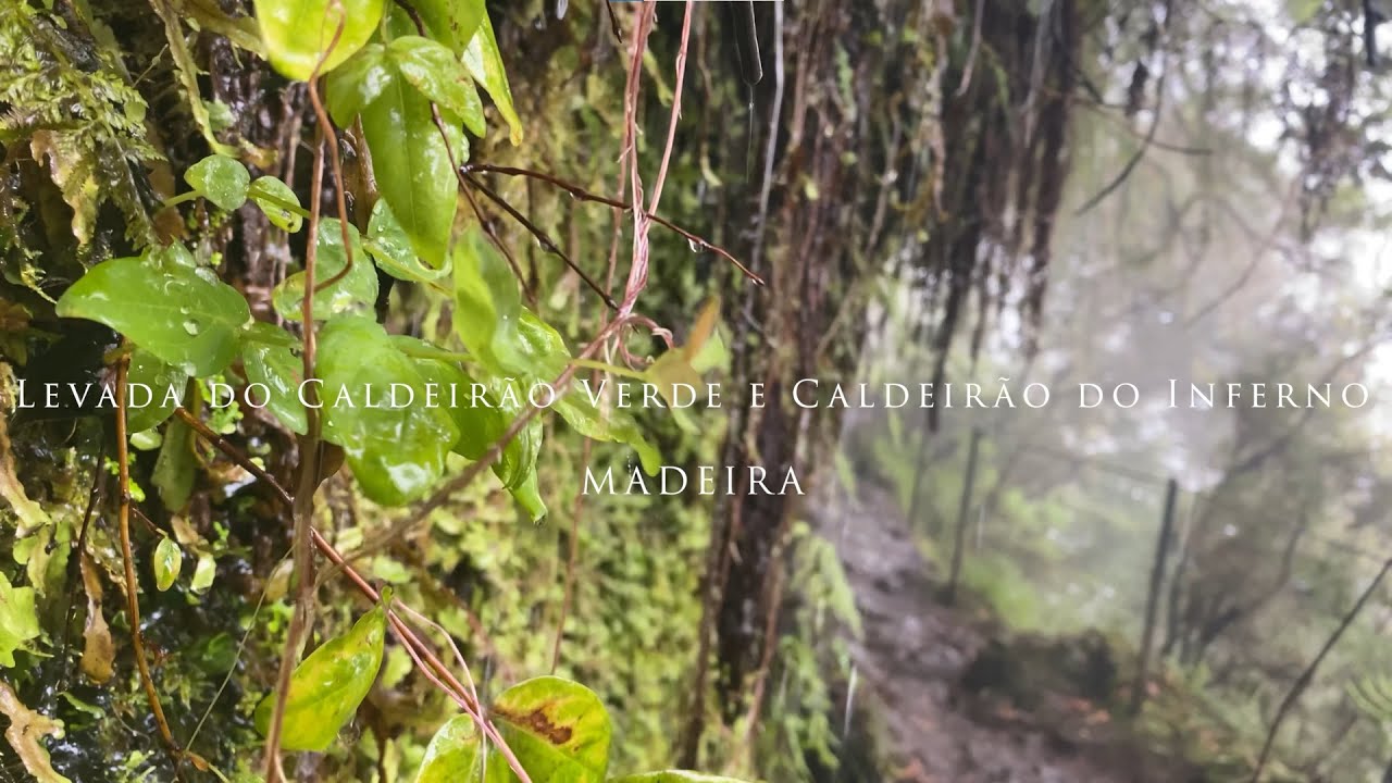 MADEIRA | Best Hiking Trails | Levada do Caldeirão Verde e Caldeirão do Inferno | PR9 | 4K