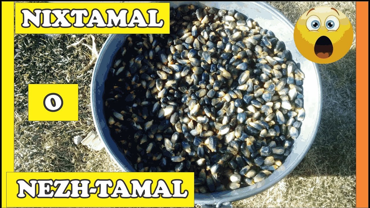 😀😊NIXTAMAL😉¿Como cocer MAIZ para tortillas?  / cocinando con lauren