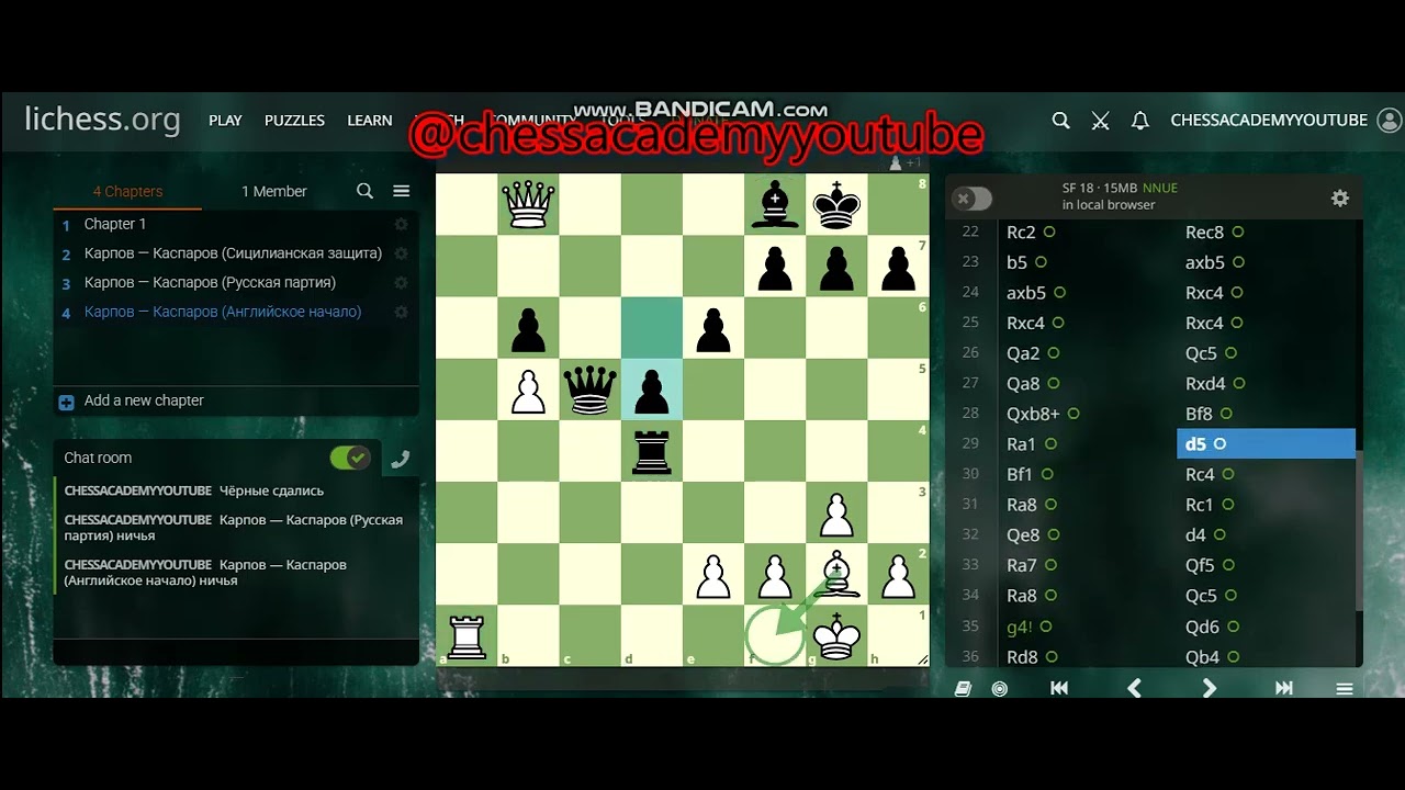Партия 1981 года  Карпов — Каспаров (Английское начало) ничья   @chessacademyyoutube