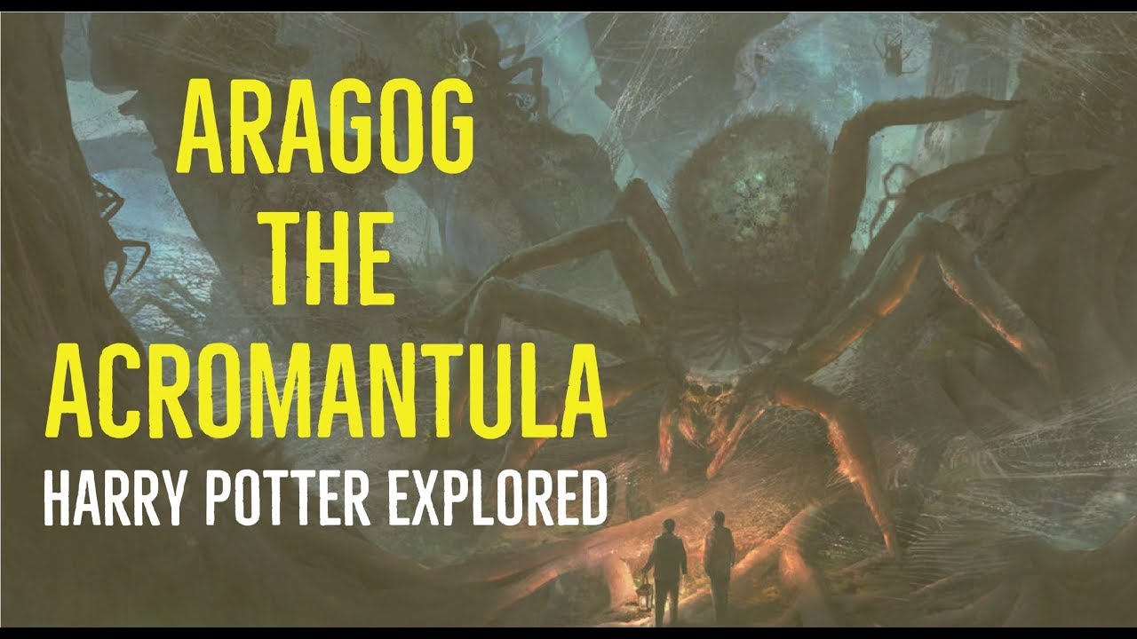 Aragog the Acromantula (Harry Potter Explored)