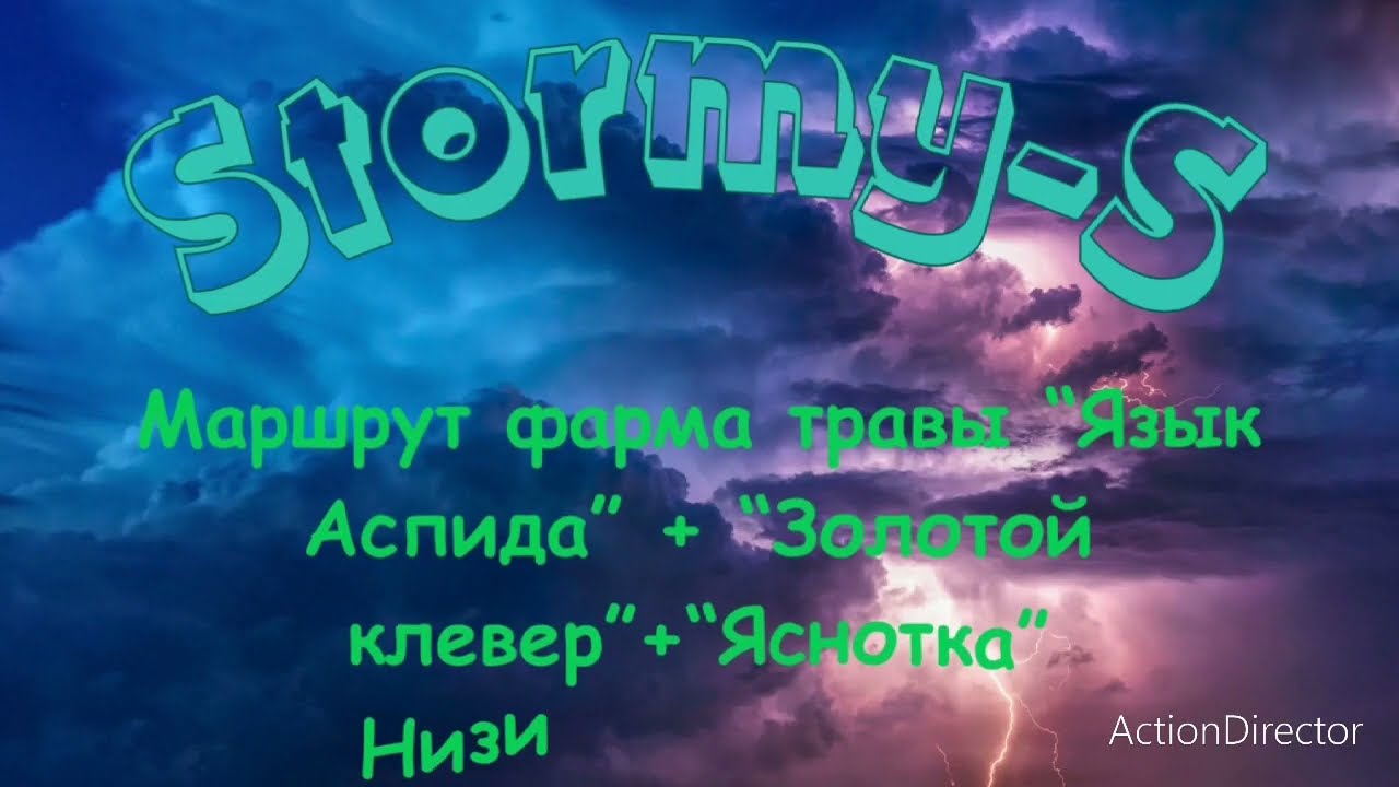 #Мой маршрут фарма травы Язык Аспида + Золотой клевер + Тигровая лилия + Яснотка. Низина Шолозар.
