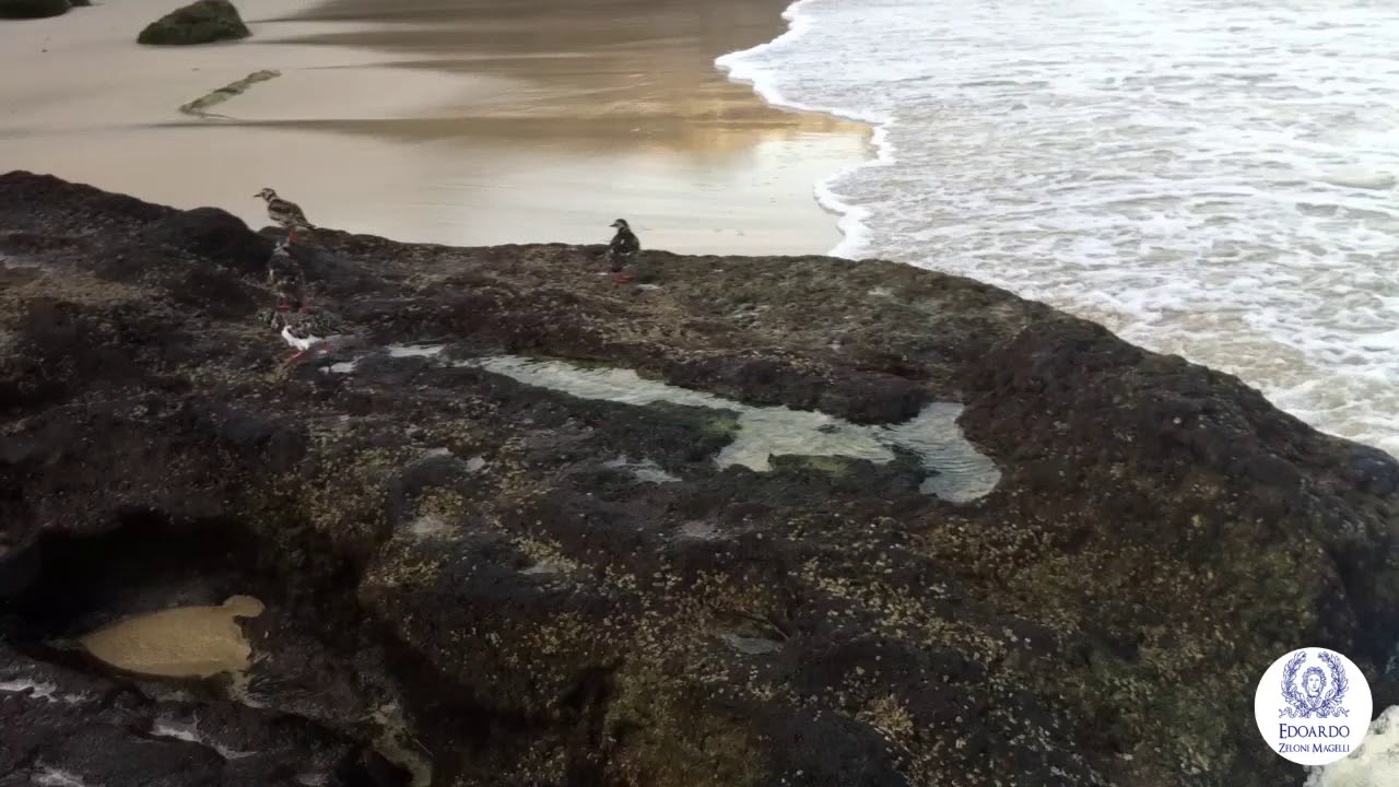 Looking for a place to meditate