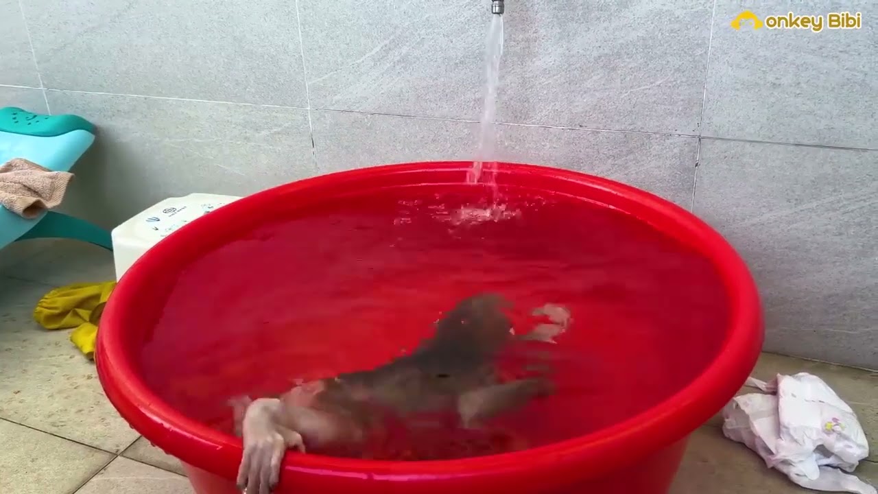 Bibi was worried and apologized to Mom when Bibi peed on the bed