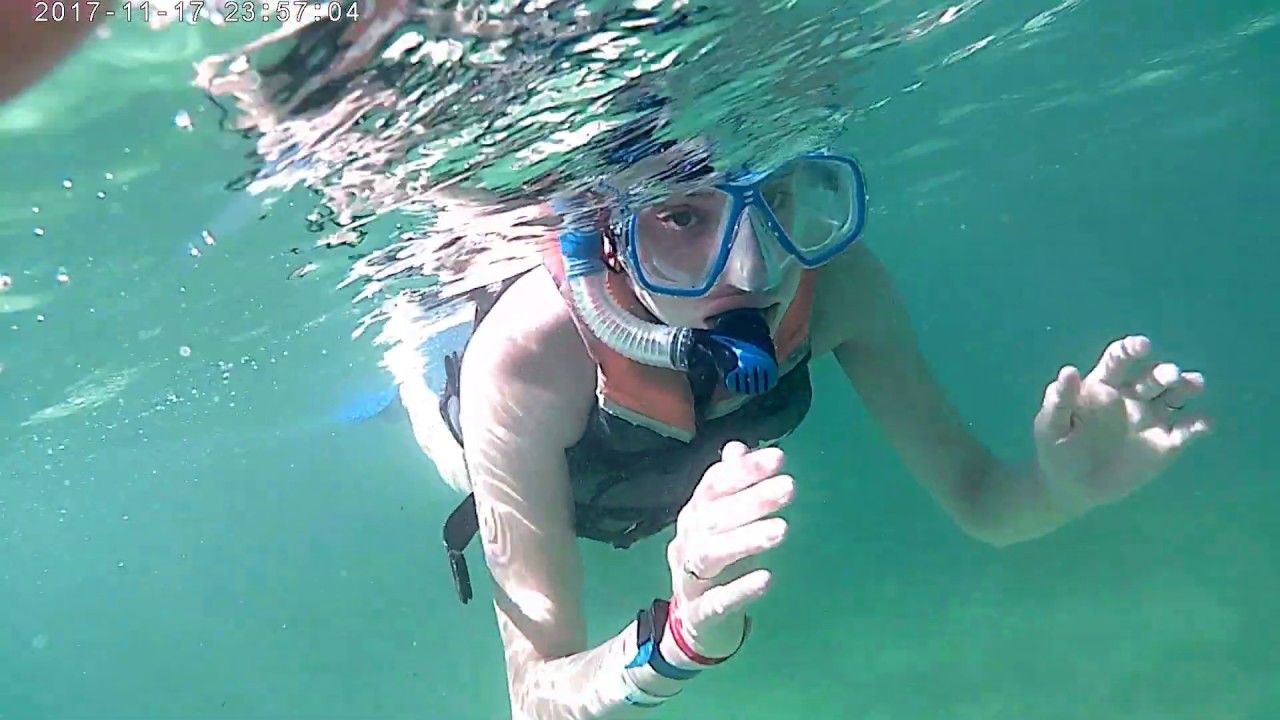 Snorkeling with Sea Turtles! | AKUMAL, MEXICO