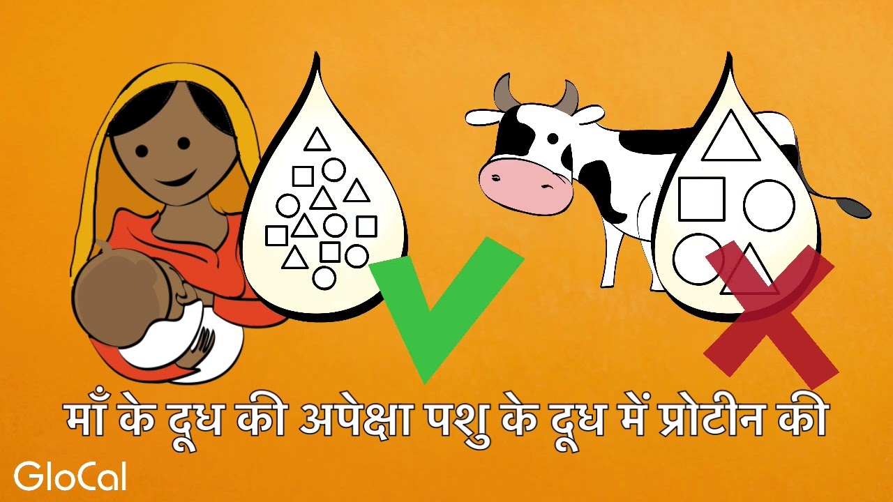 B6 Breastmilk vs Animal Milk