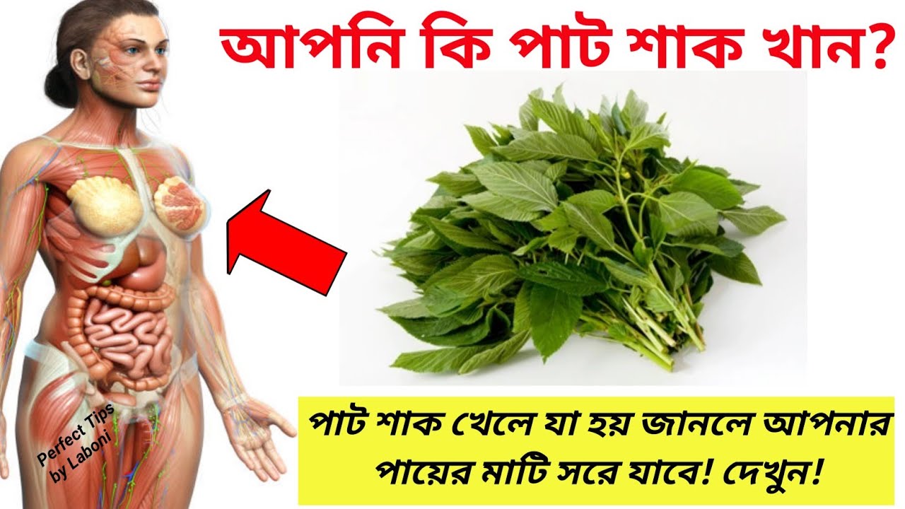 যারা পাট শাক খান তারা অবশ্যই দেখুন|পাট শাক খেলে কি হয় শরীরে?|পাট শাকের উপকারিতা জানলে চোখ কপালে উঠবে