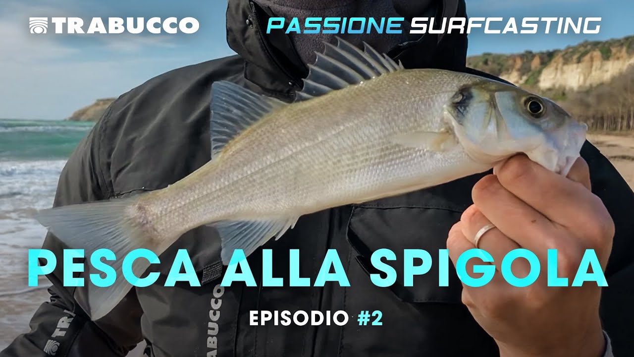 PESCA alla SPIGOLA in condizioni LIMITE: COME fare? | Passione SURFCASTING S4E2 | @Trabucco Fishing