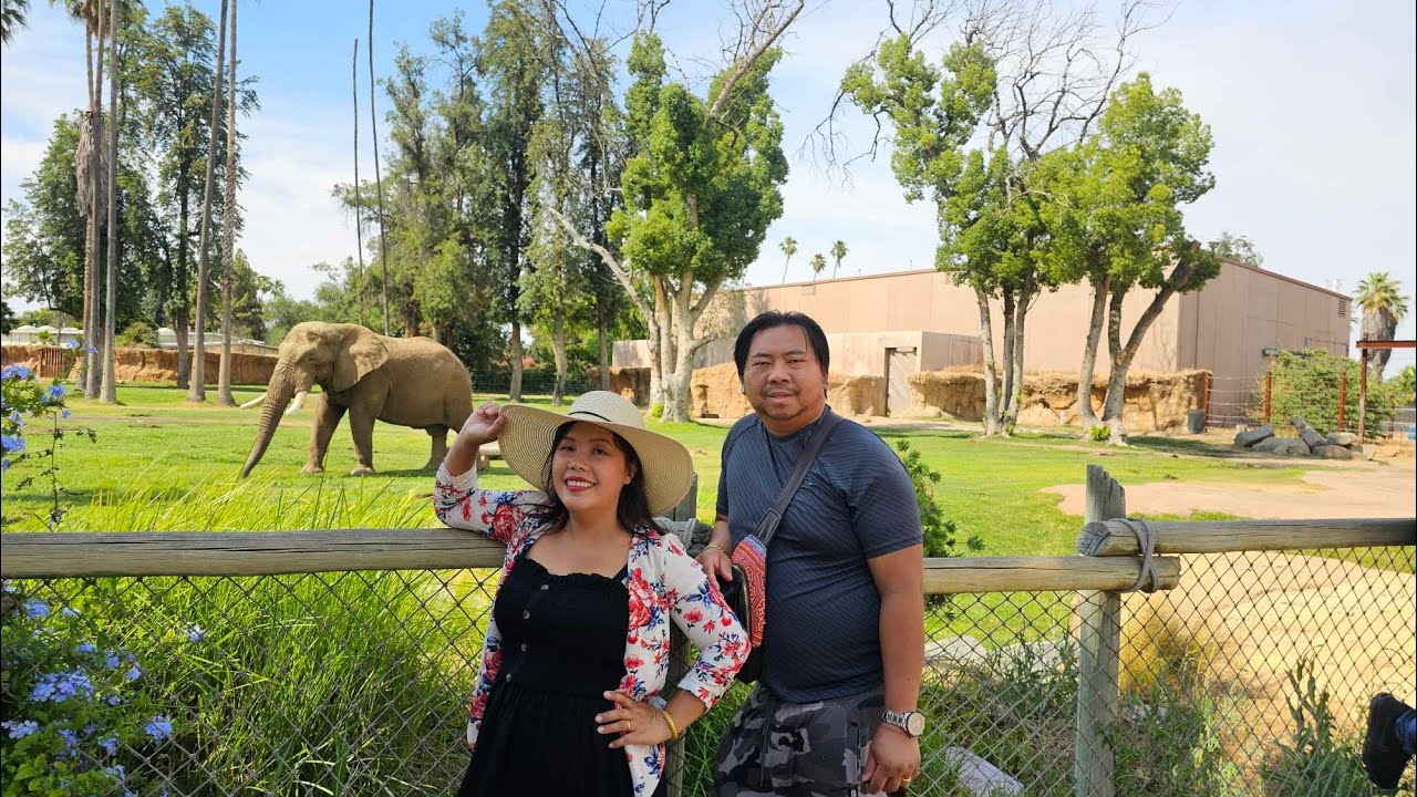 mus saib tsiaj fresno chaffee zoo summer 2024