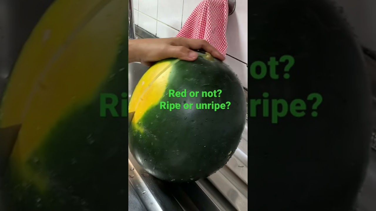 🍉 Ripe or unripe watermelon???