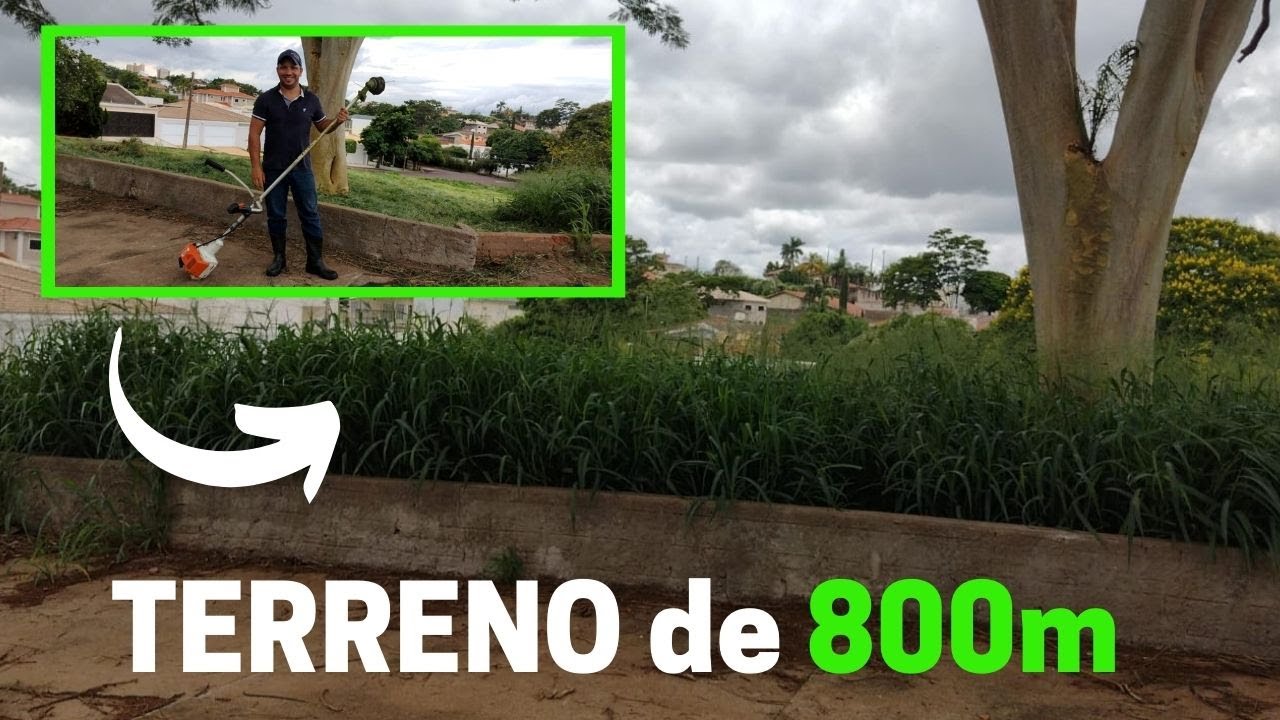 Terreno Grande + Orçamento | Do Início ao Fim | Dia Dia do Jardineiro